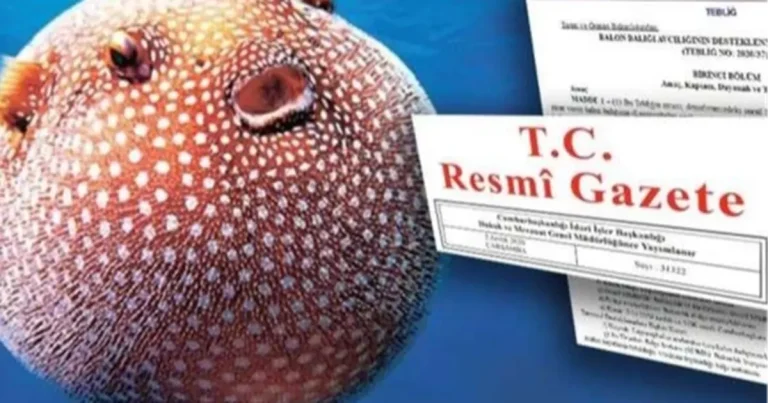 balon-baligi-avciligi-destegi-artirildi-JnIdOGqY.webp