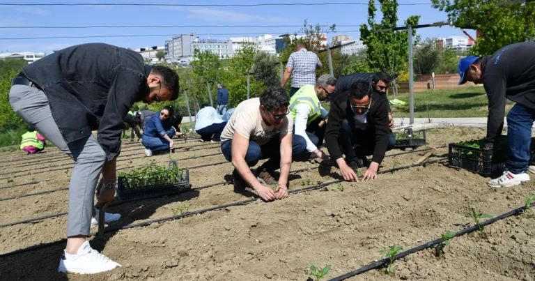 istanbul-beylikduzunde-yasam-bahcesi-yaza-hazir-4Pv2AsPS.webp
