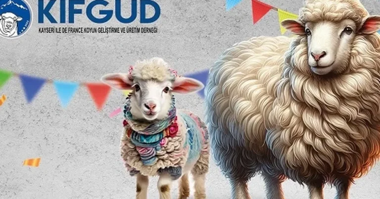 kayseri-talasta-france-irkina-ozel-festival-QUC3WvDJ.webp