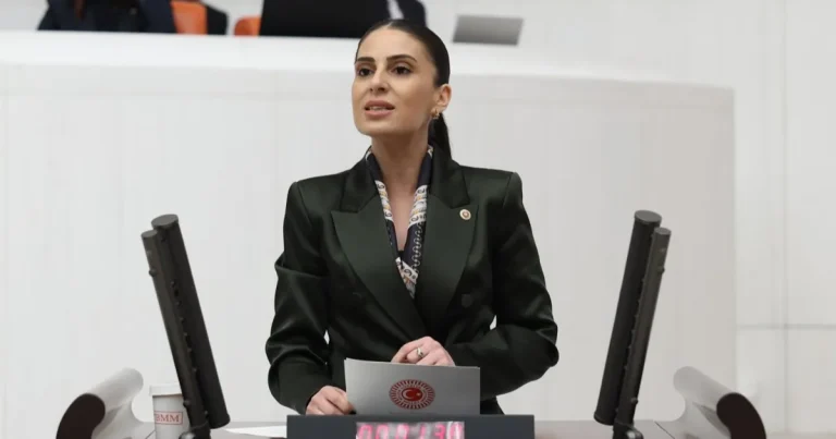 milletvekili-ozcandan-sokak-hayvanlari-icin-bakan-yumakliya-onerge-UF4wnl4f.webp