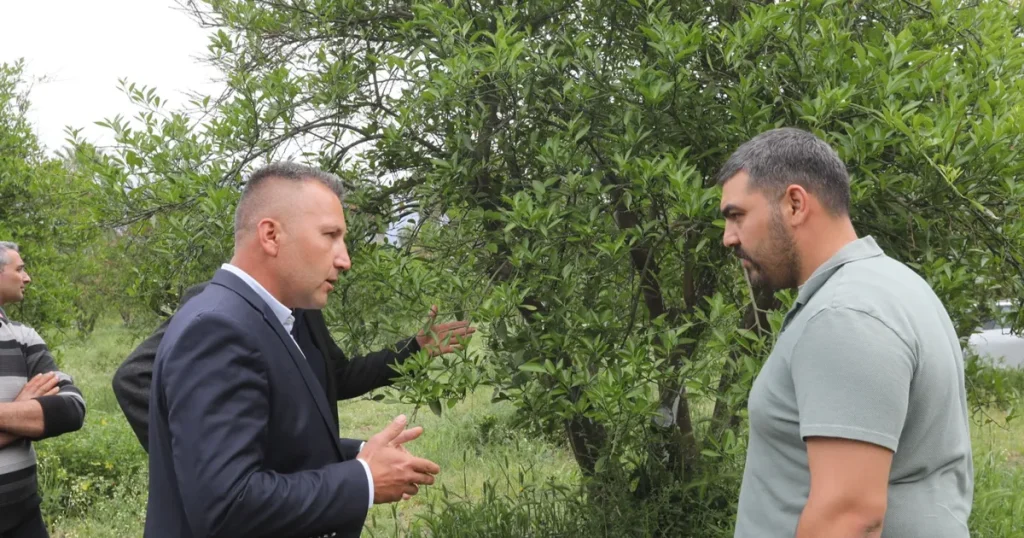 muglada-zirai-donun-yaralari-sarildi-jep5PjMW.webp