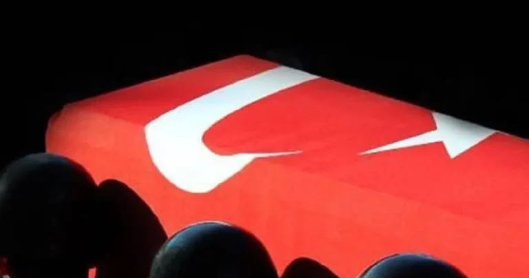 pence-kilite-yildirim-dustu-1-askerimiz-sehit-mRey3EsB.webp