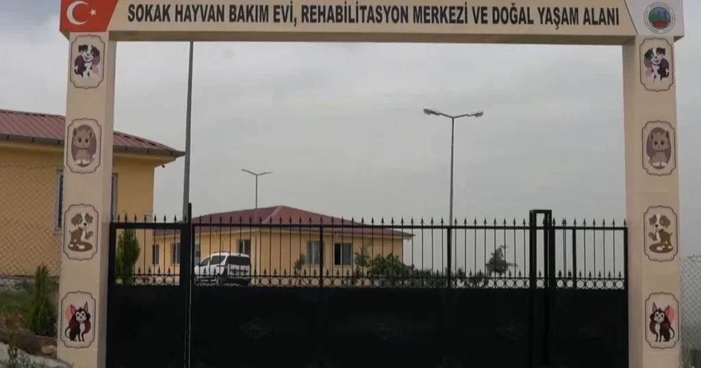 siirtte-sokak-hayvanlari-icin-dev-proje-QQU448rF.webp