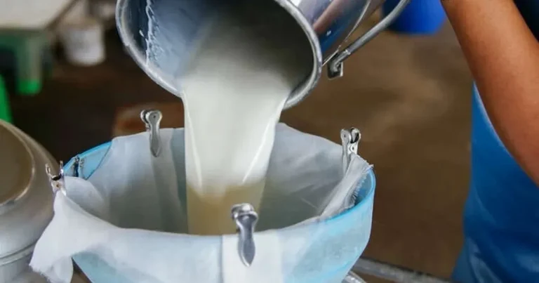 turkiyede-sut-uretimi-yukseliyor-martta-1-milyon-15-bin-ton-sut-toplandi-XZDJKF1n.webp
