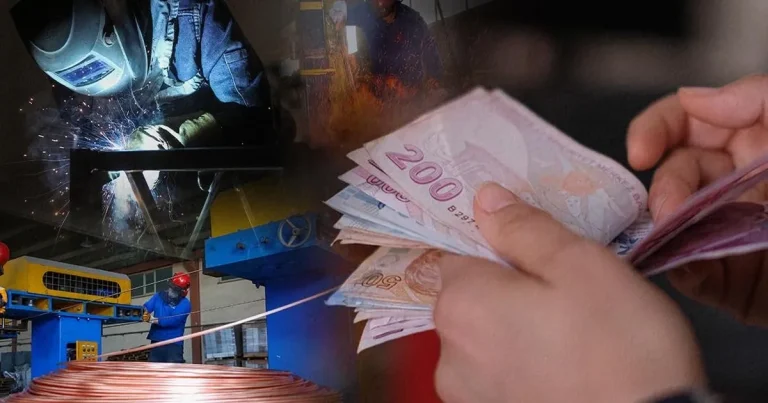 ucretli-calisan-sayisi-yillik-artti-aylik-azaldi-ItLDLEmB.webp